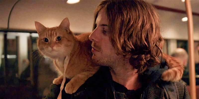 1 марта — День кошек. Идеальное время, чтобы посмотреть фильмы о них