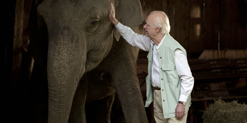 8 скандинавских фильмов, которые вы могли пропустить. А зря